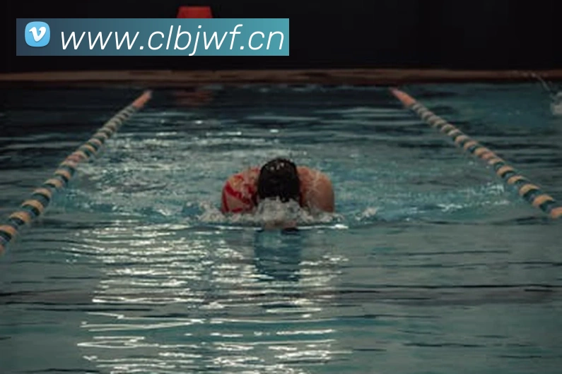 App Interface Preview